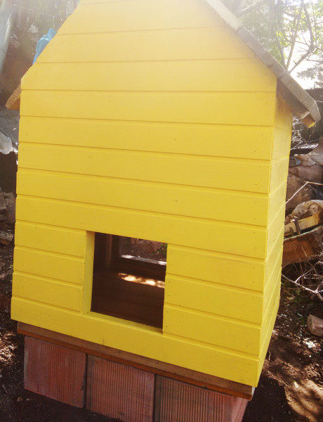 Painting-the-small-chicken-coop