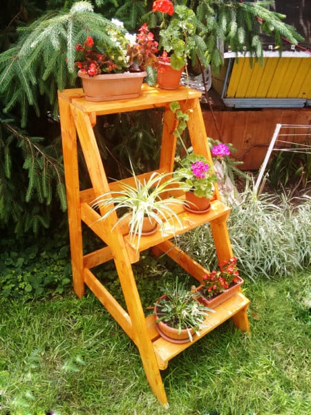 DIY Ladder Plant Stand | MyOutdoorPlans | Free Woodworking Plans and 