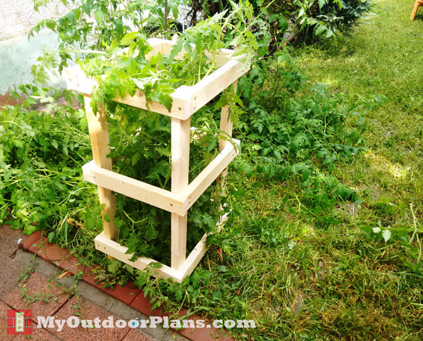 DIY-Tomato-Cage