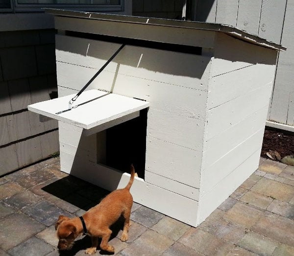 DIY-Dog-House