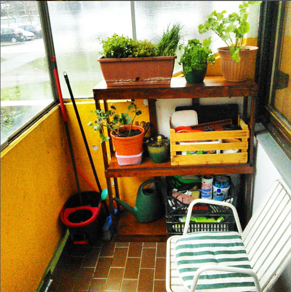 DIY-Garden-Shelves