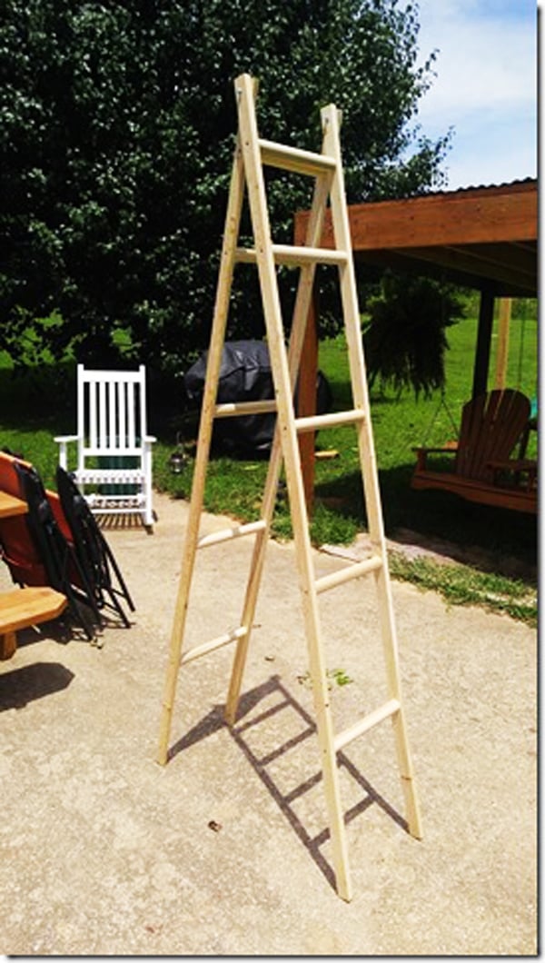 Ladder-Shelf