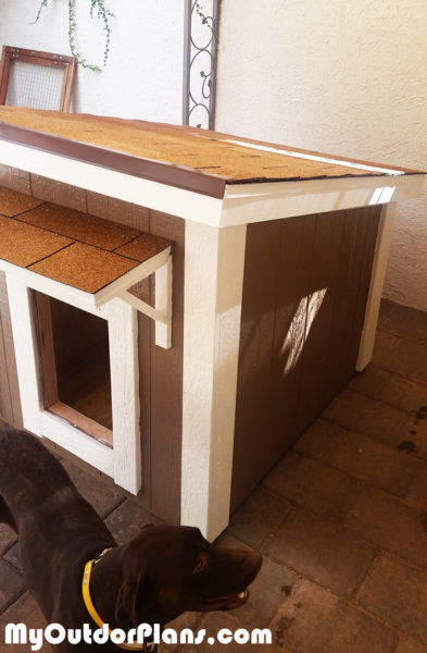 DIY Large Insulated Dog House MyOutdoorPlans Free 
