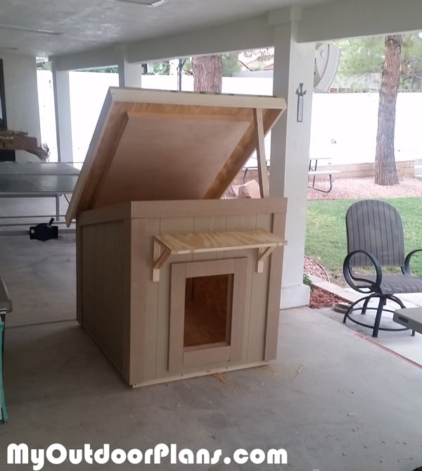 dog-house-with-lid