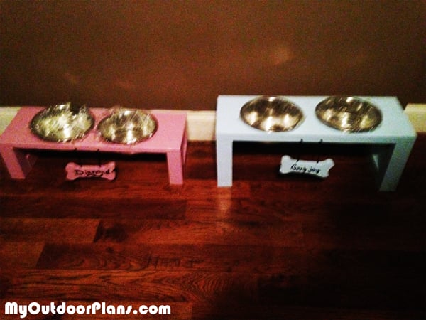 Boy-and-girl-doggie-trays