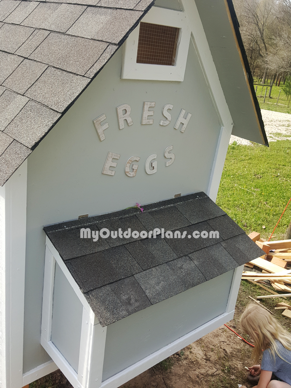 Building-a-chicken-coop-with-nesting-box