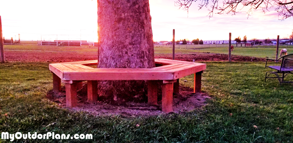 DIY-Bench-around-a-Tree