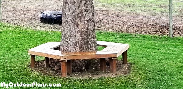 DIY-Tree-Bench