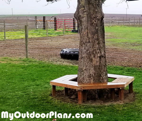 How-to-build-a-tree-bench