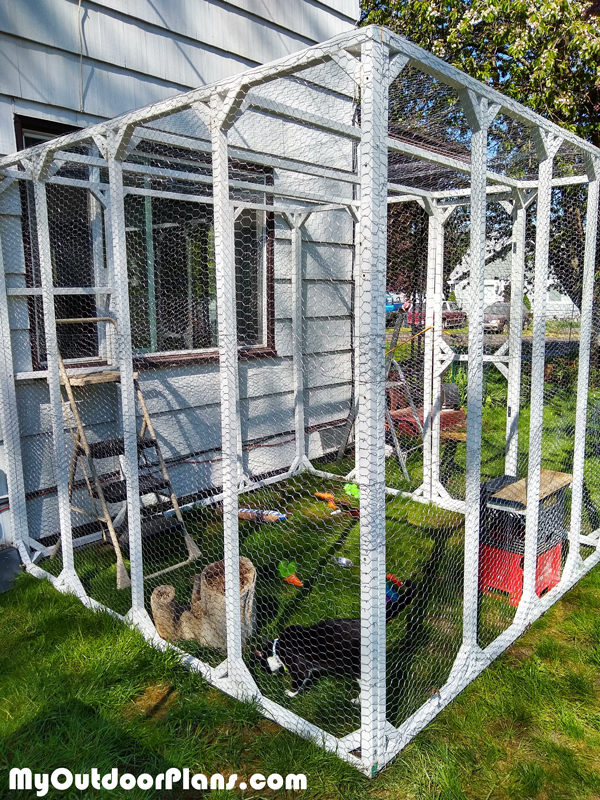 DIY-Wooden--Catio