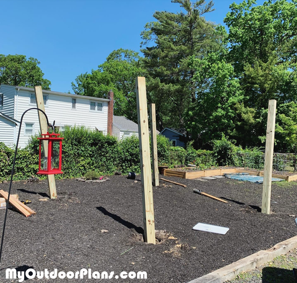 Laying-out-the-pergola-posts