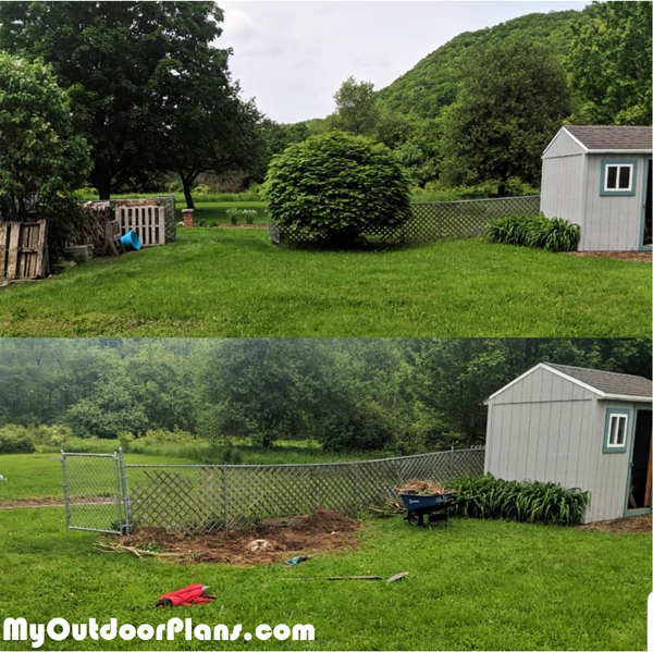 Removing-a-tree-to-build-a-firewood-shed