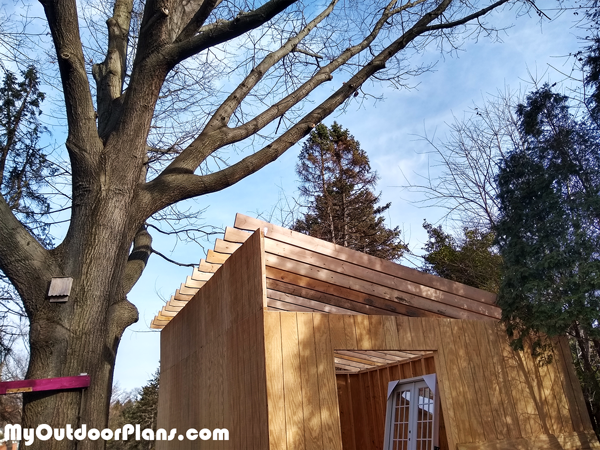 Fitting-the-rafters-to-the-16x20-lean-to-shed
