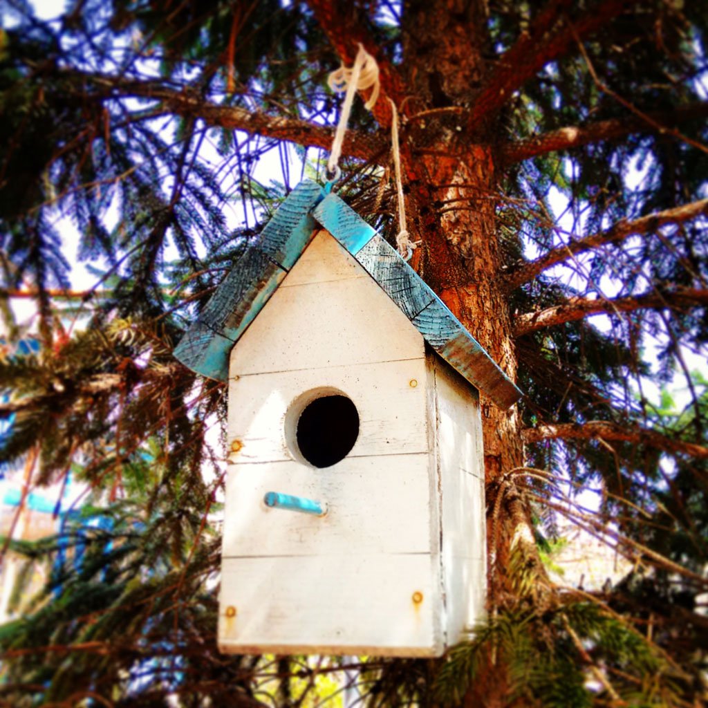 Simple Birdhouse