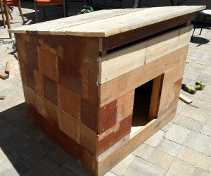 Building-a-large-dog-house