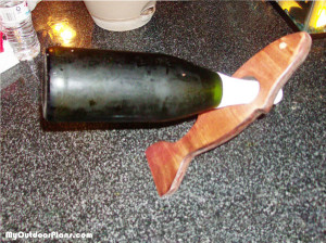 DIY-Wine-Bottle-Fish-Rack