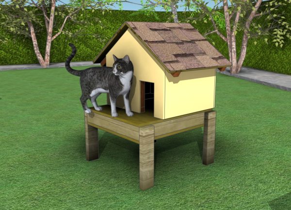 Outdoor cat tree house plans best sale