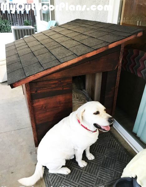 DIY XL Dog House | MyOutdoorPlans | Free Woodworking Plans 