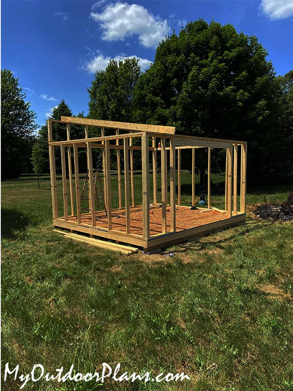Amazon lean to shed