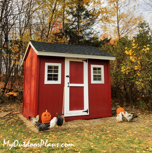 8x10-large-chicken-coop---diy-project