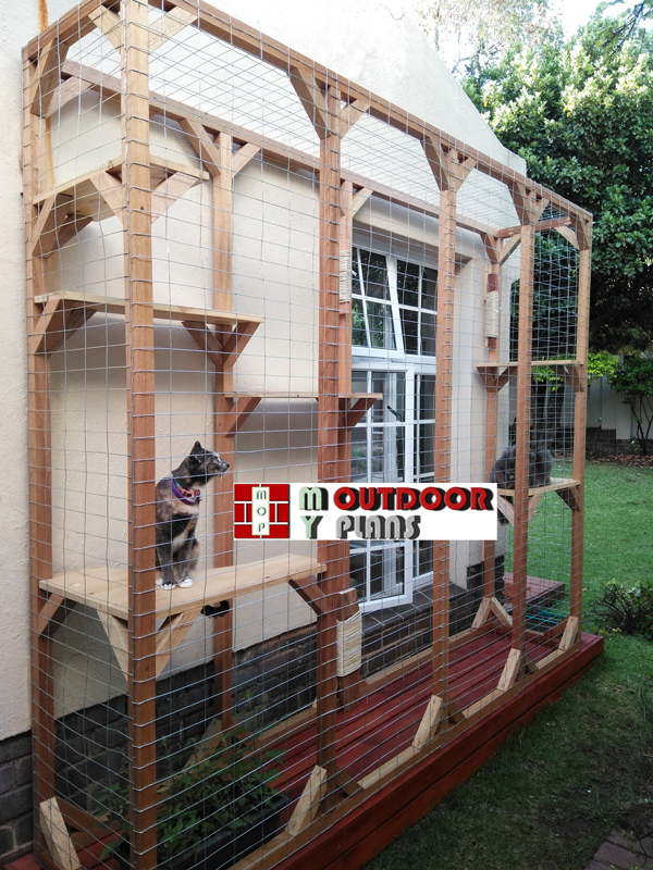 Diy catio ideas hotsell