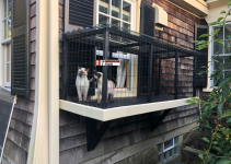 Window Catio – DIY Project