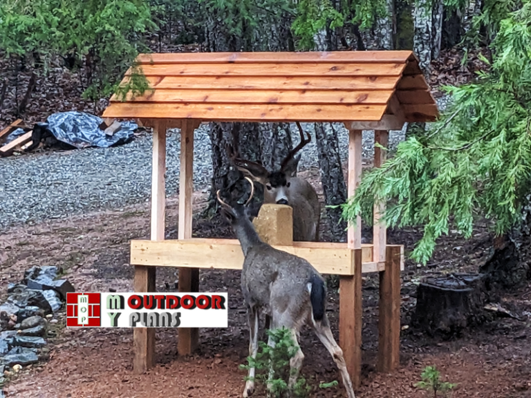 DIY Project Deer Feeder   Deer Feeder Diy Project 768x576 