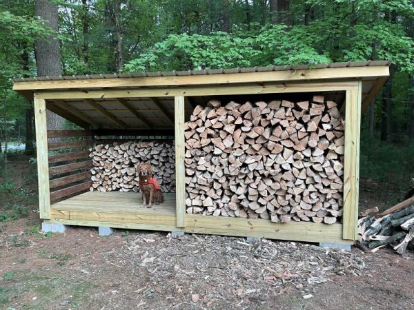 6x16 firewood shed plans