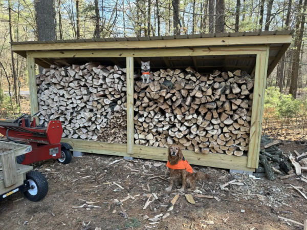 How to make a 6x16 wood storage shed