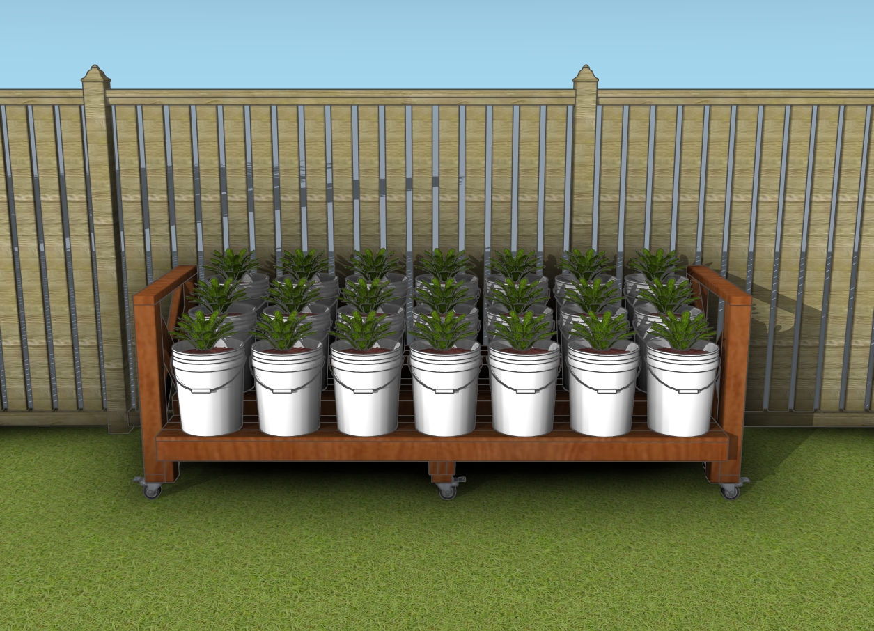 DIY bucket garden - free plans