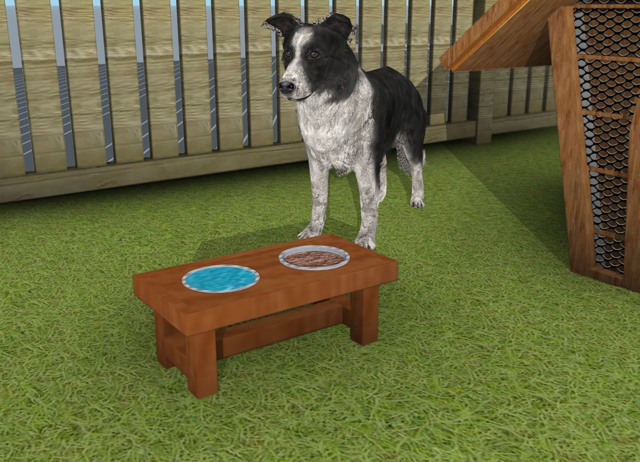 How to build a dog bowl stand