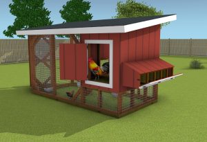 6x12 chicken coop - back view