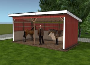 How to build a 12x24 run in shed - diy plans